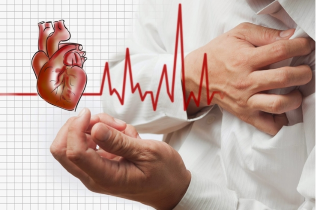 Dược liệu kết hợp công nghệ độc quyền hỗ trợ phòng ngừa các bệnh liên quan tim mạch - Ảnh 2.
