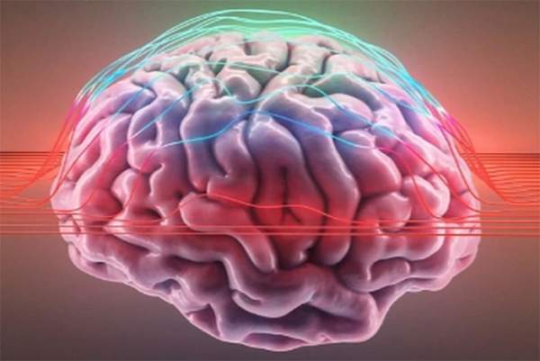Khoa học tìm thấy tín hiệu lạ trong não người 1